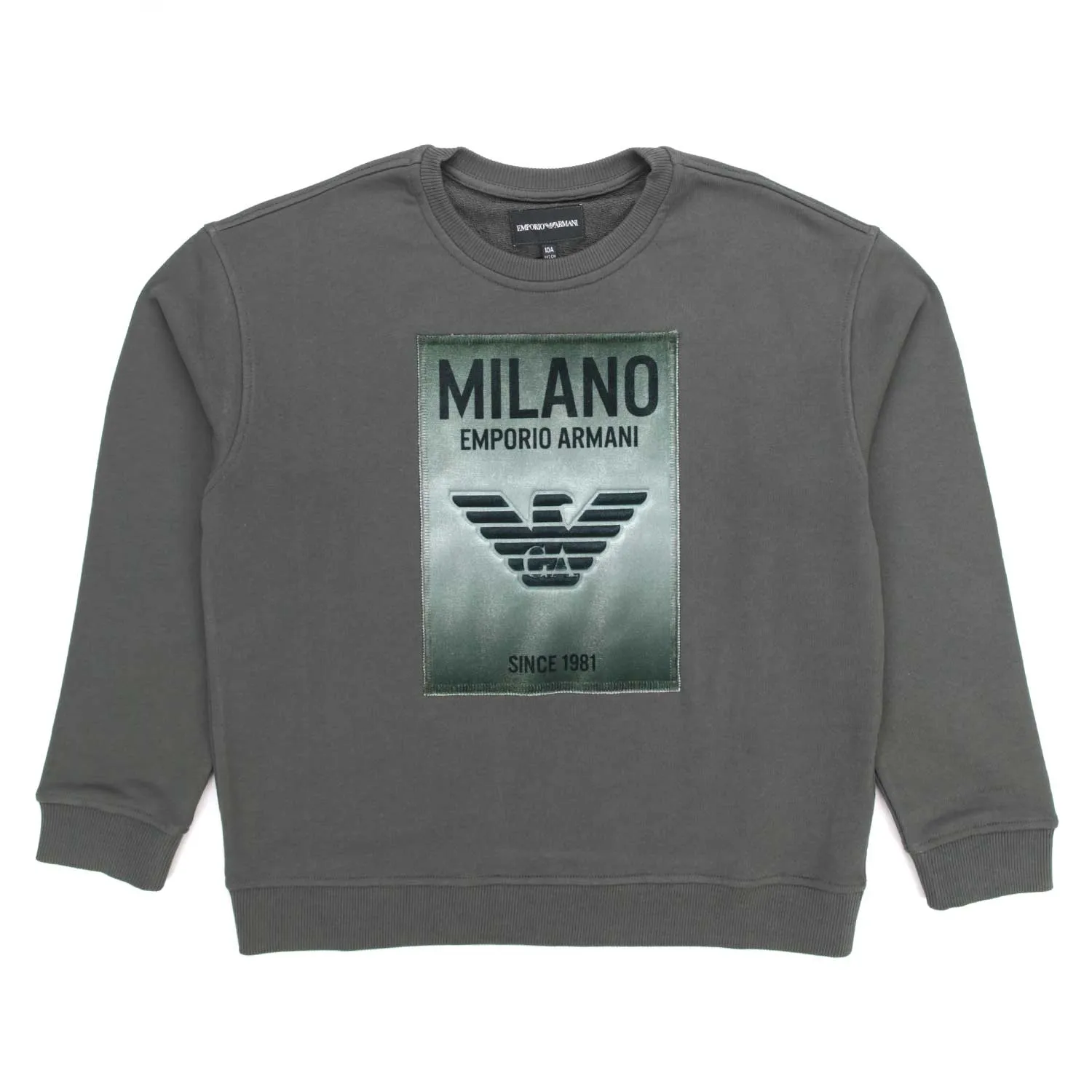 Armani Junior Logo Sweatshirt For Teen Boy