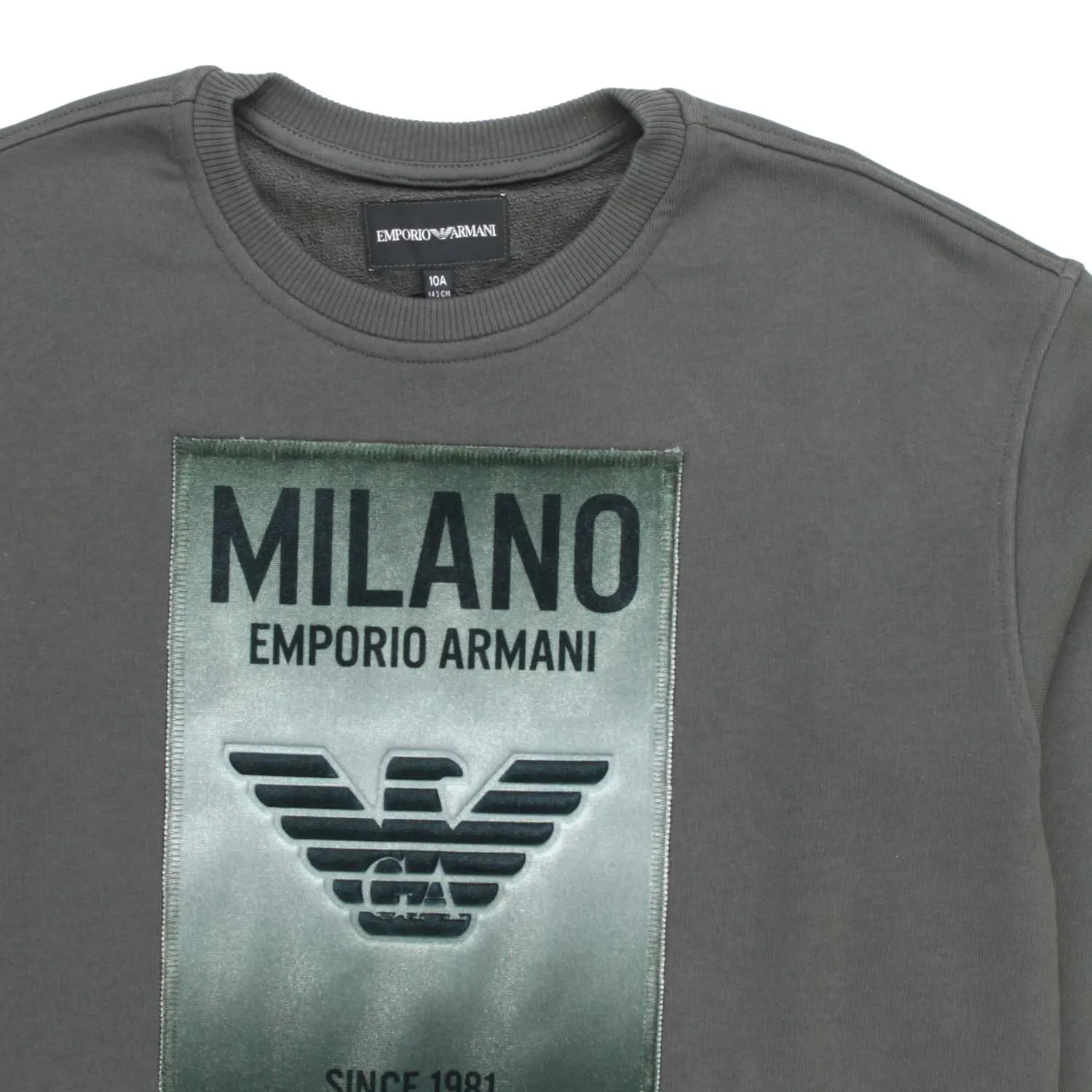 Armani Junior Logo Sweatshirt For Teen Boy