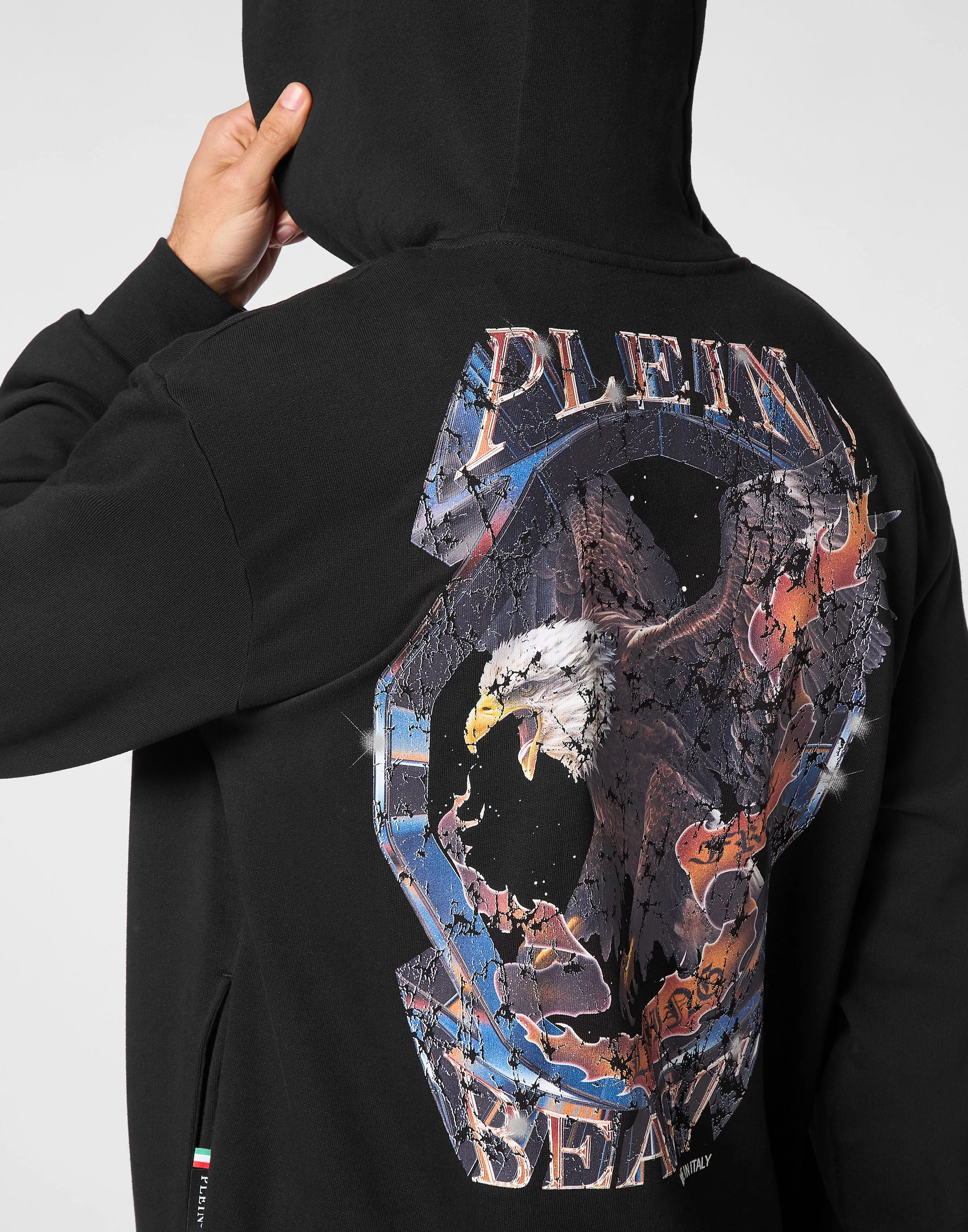 Hoodie sweatshirt Eagle